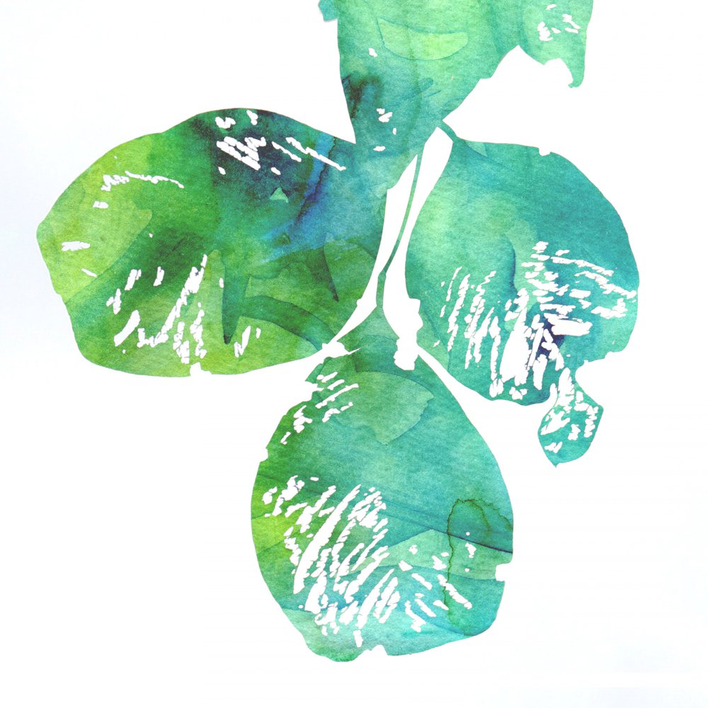 Vibrant Watercolor Leaves by Danushka Abeygoda