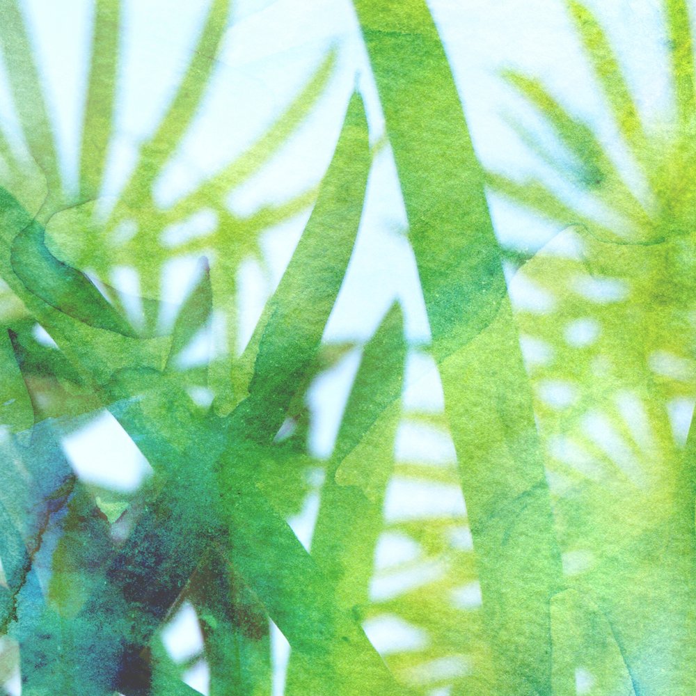 Watercolor Green Grass by Danushka Abeygoda