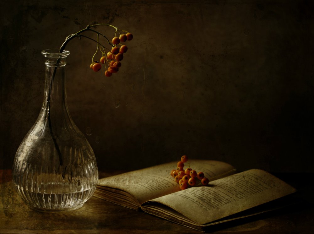 Autumn Berries And Book by Delphine Devos