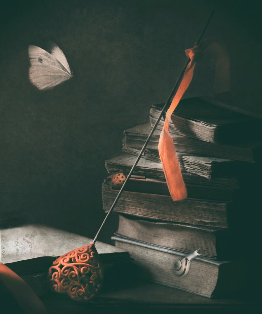 Dark Academia Butterfly by Delphine Devos