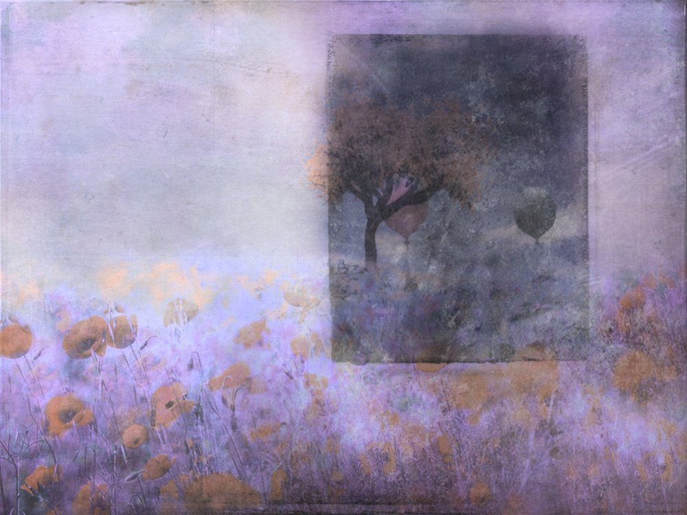 Dreamy Poppy Field Balloons by Delphine Devos