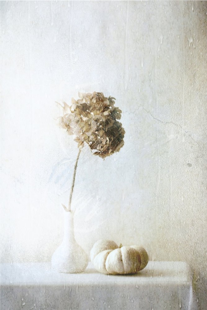 Dried Hydrangea Pumpkin Still Life by Delphine Devos