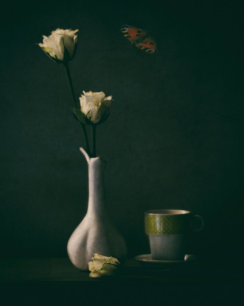 Elegant Roses and Butterfly by Delphine Devos
