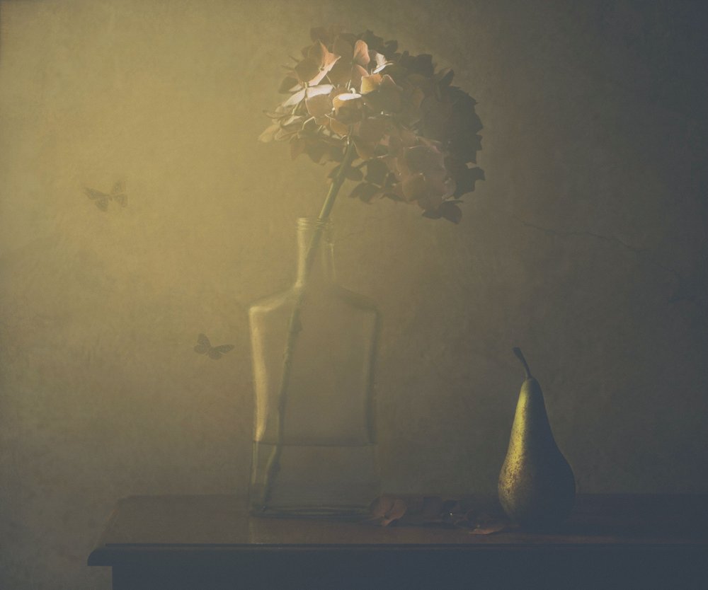 Golden Autumn Still Life by Delphine Devos