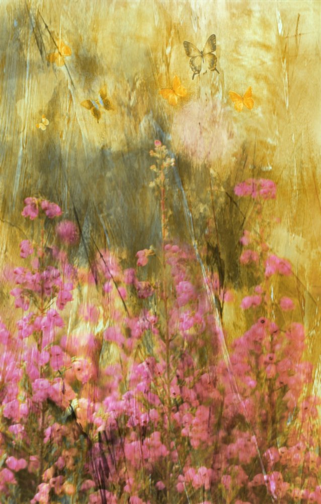 Golden Meadow Butterflies by Delphine Devos