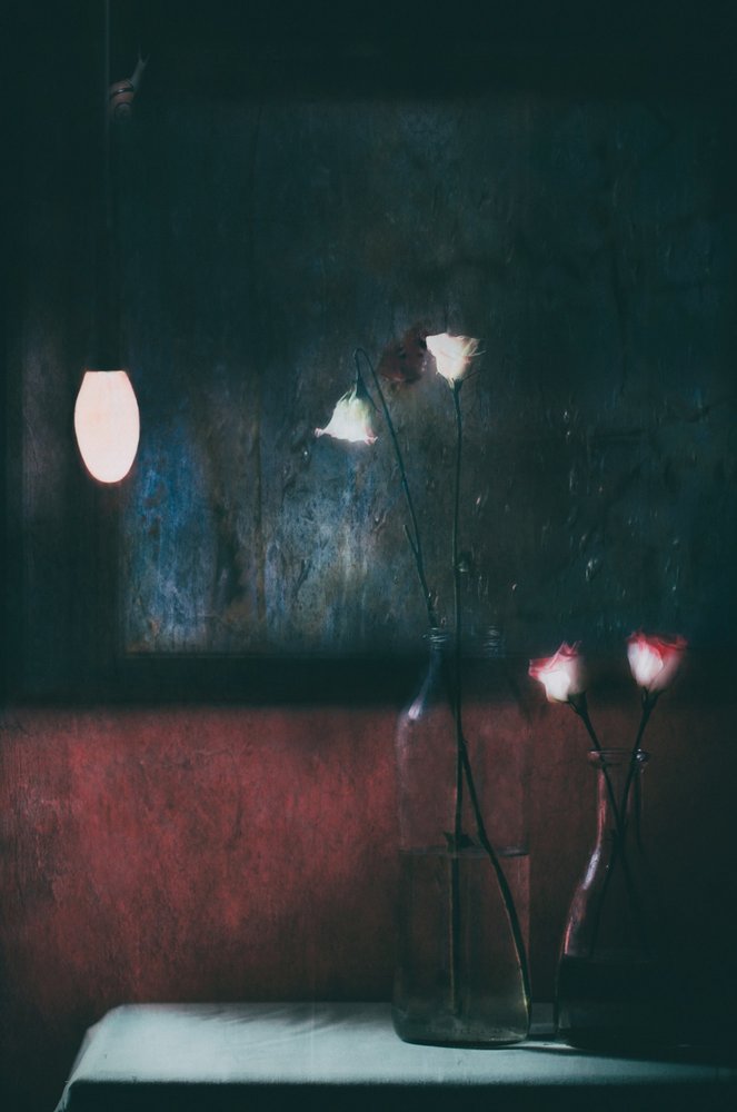 Moody Flowers Still Life by Delphine Devos