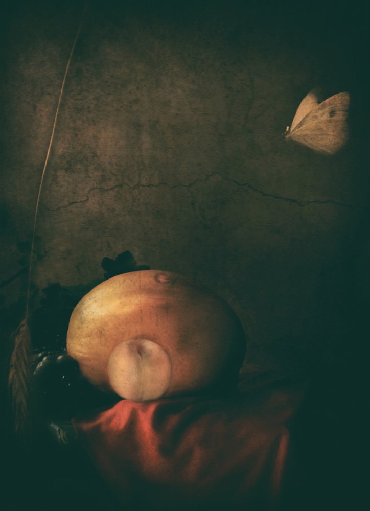 Moody Fruit and Butterfly by Delphine Devos