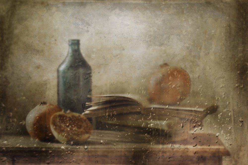 Moody Rainy Pomegranates by Delphine Devos
