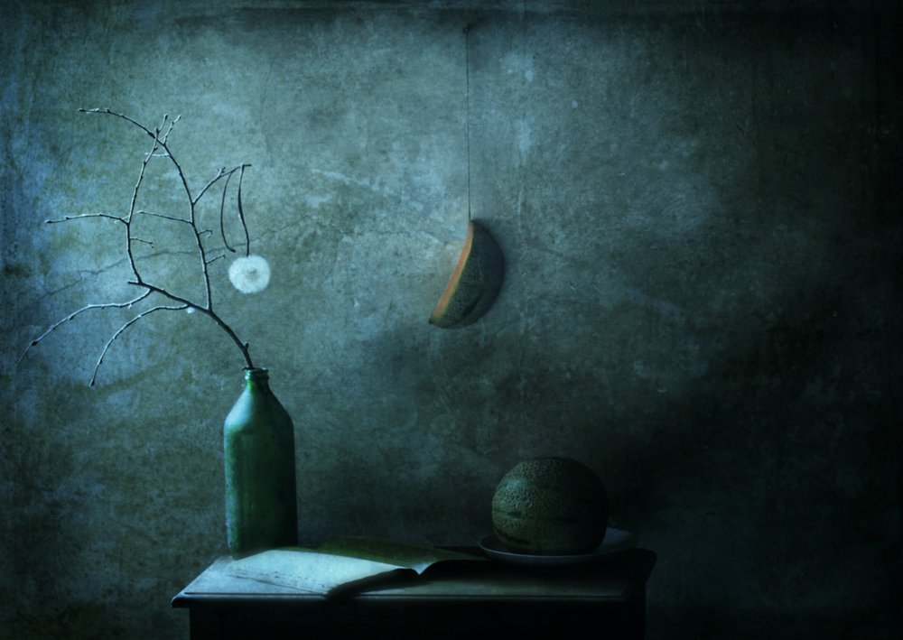 Moonlit Still Life by Delphine Devos