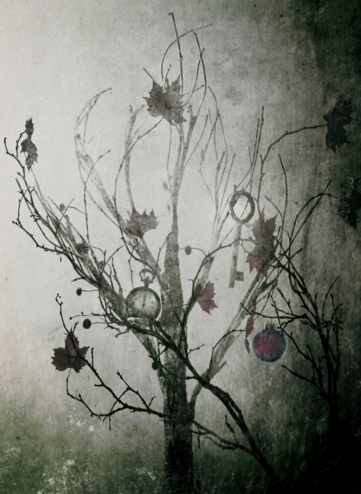Mysterious Tree of Time by Delphine Devos