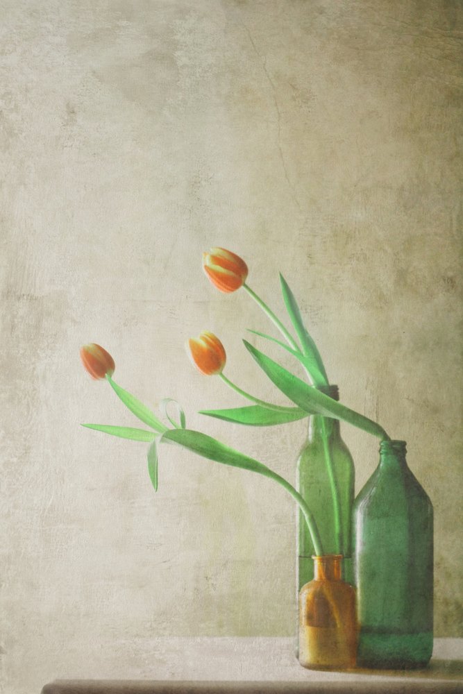 Orange Tulips in Bottles by Delphine Devos