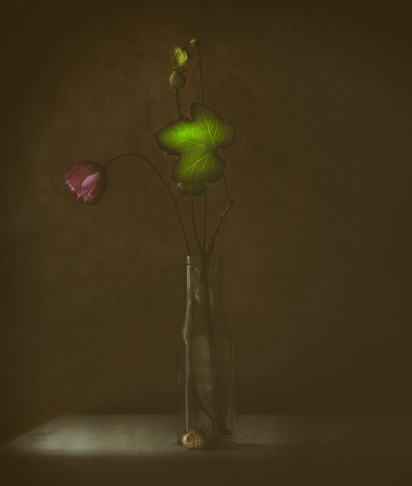 Quiet Bloom and Leaf by Delphine Devos