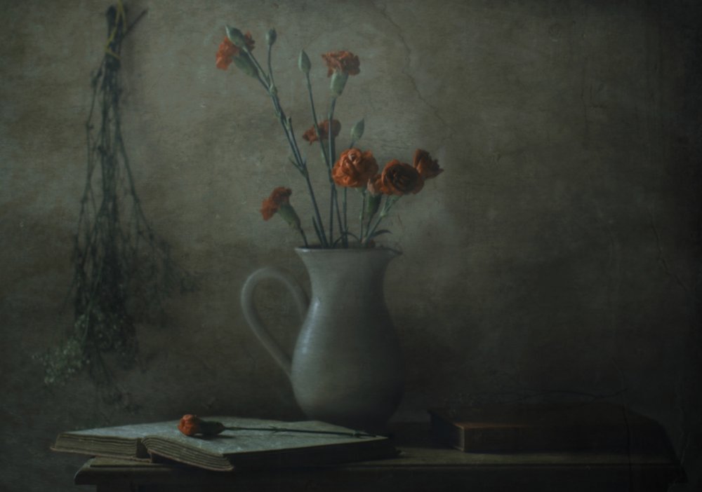 Quiet Carnation Still Life by Delphine Devos