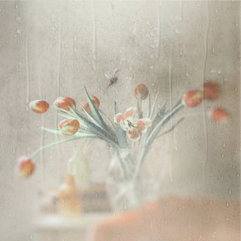 Rainy Window Tulips by Delphine Devos
