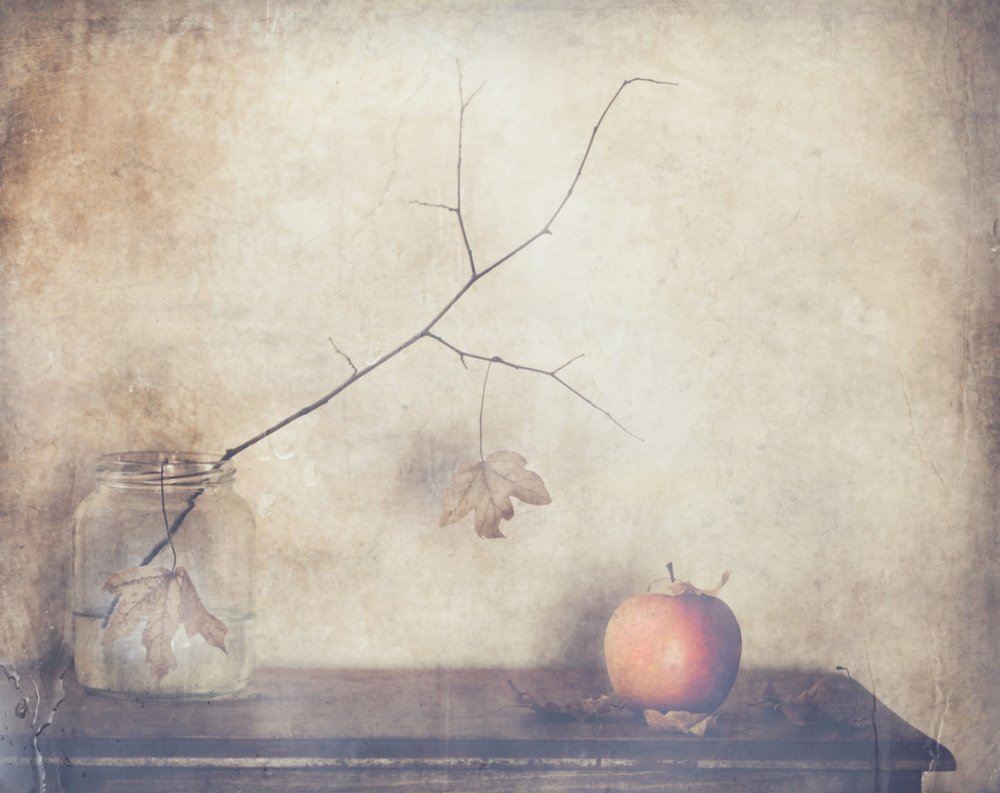 Rustic Autumn Still Life by Delphine Devos