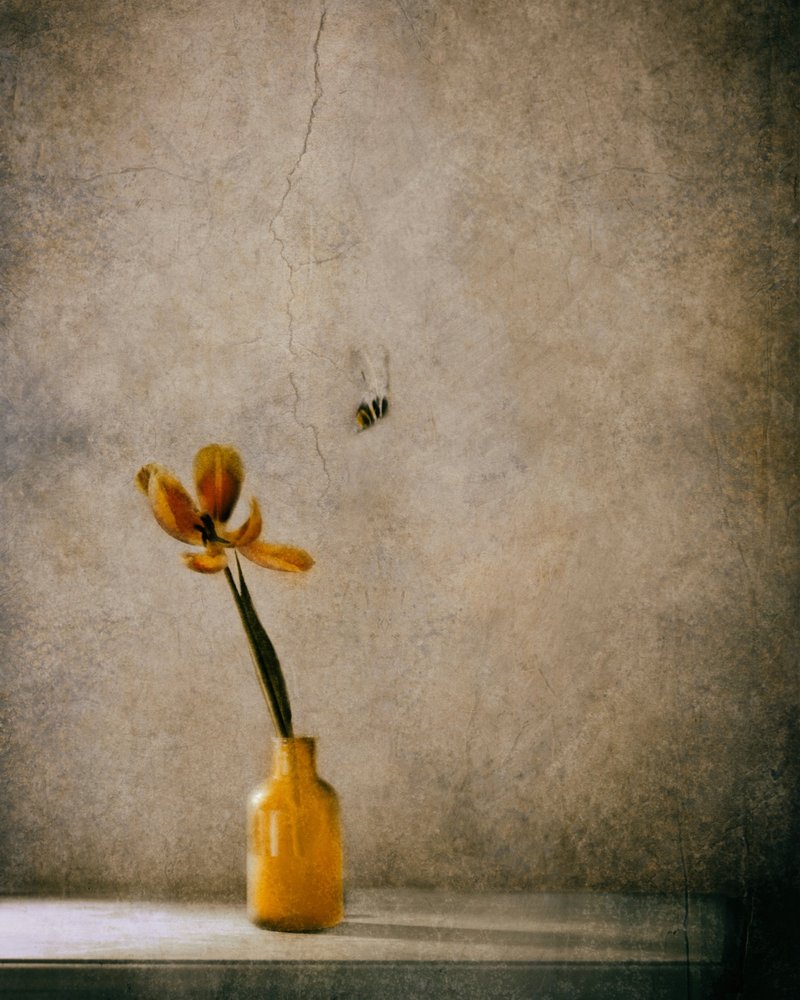 Rustic Bloom and Bee by Delphine Devos