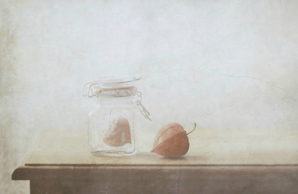 Rustic Love Still Life by Delphine Devos