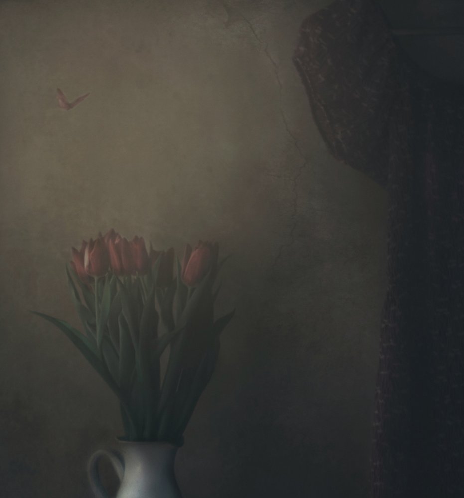 Shadowed Tulips and Butterfly by Delphine Devos