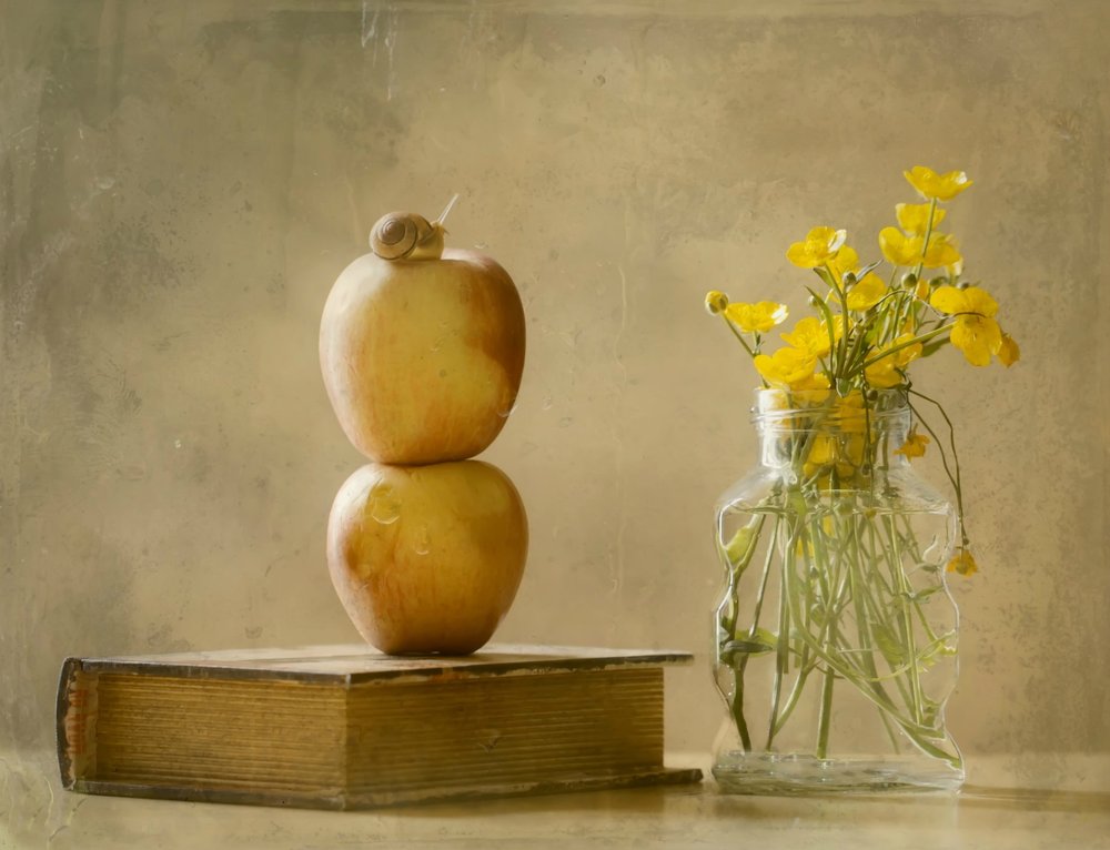 Snail On Stacked Apples by Delphine Devos