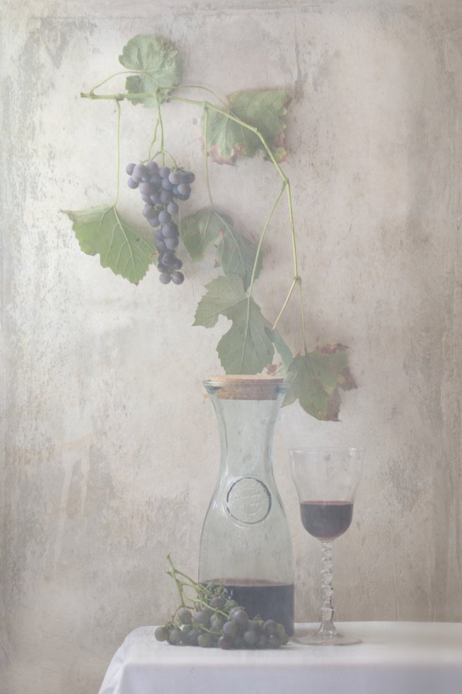 Vintage Grapes Wine Still Life by Delphine Devos