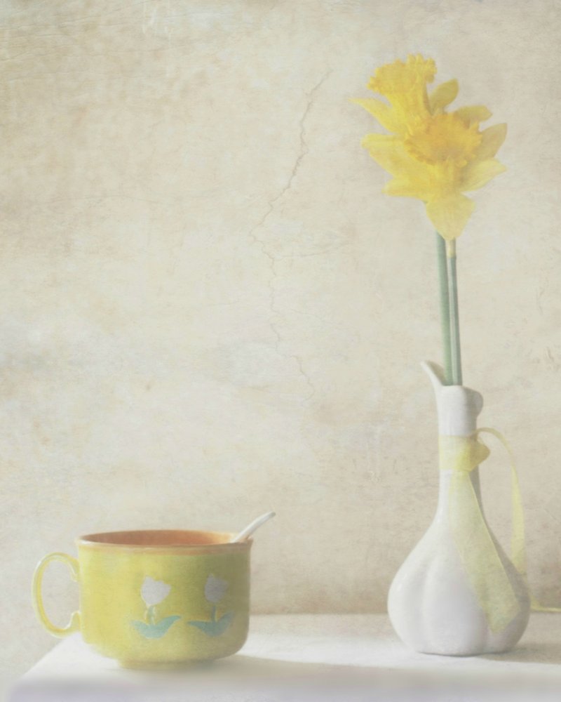 Yellow Daffodil Still Life by Delphine Devos