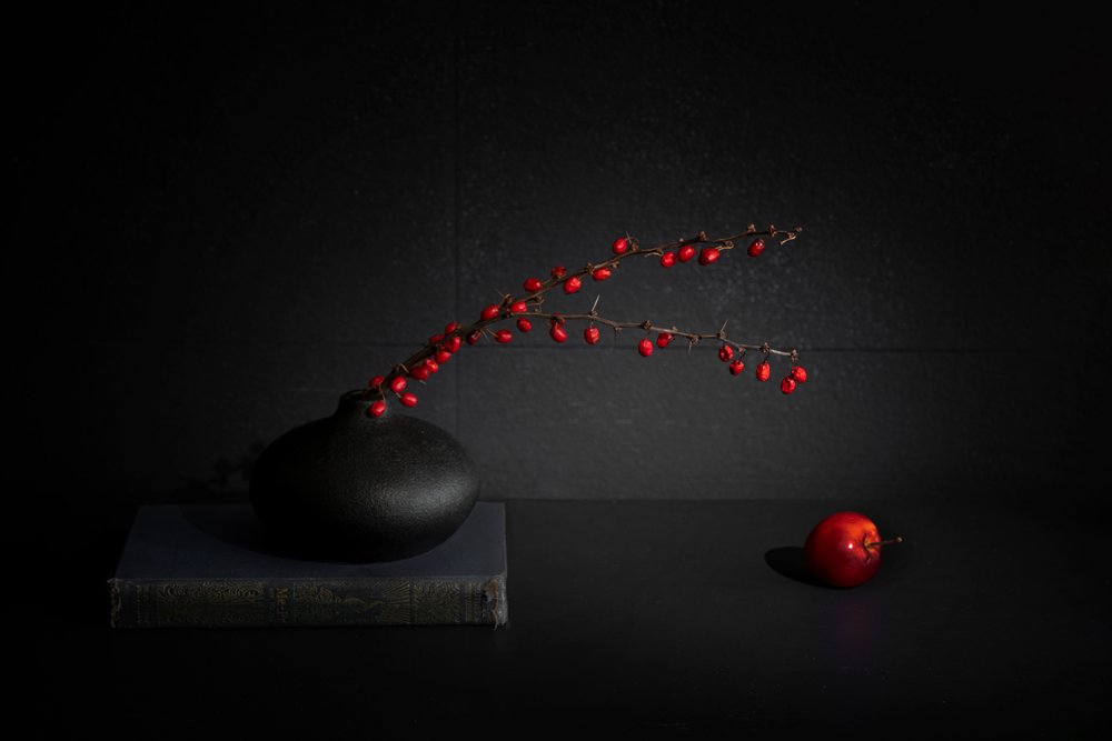 Red Berries Black Vase Still Life by Dennis Zhang