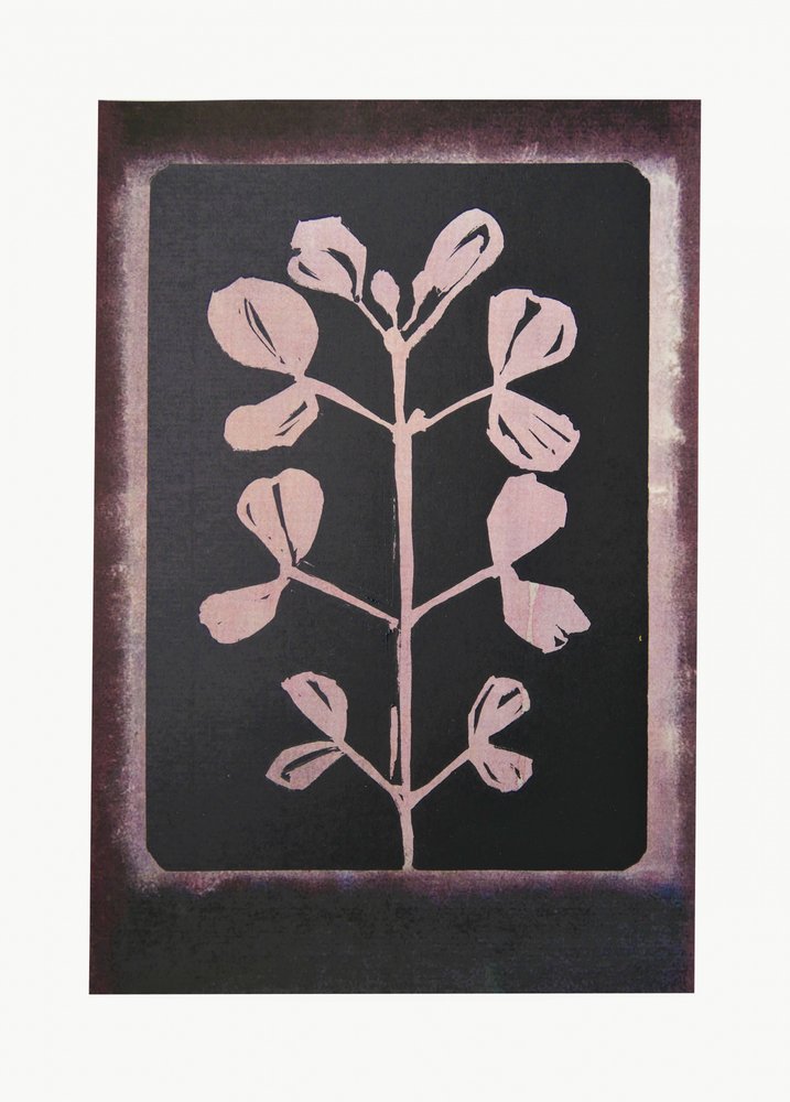 Dark Botanical Silhouette by Doris Schmitz