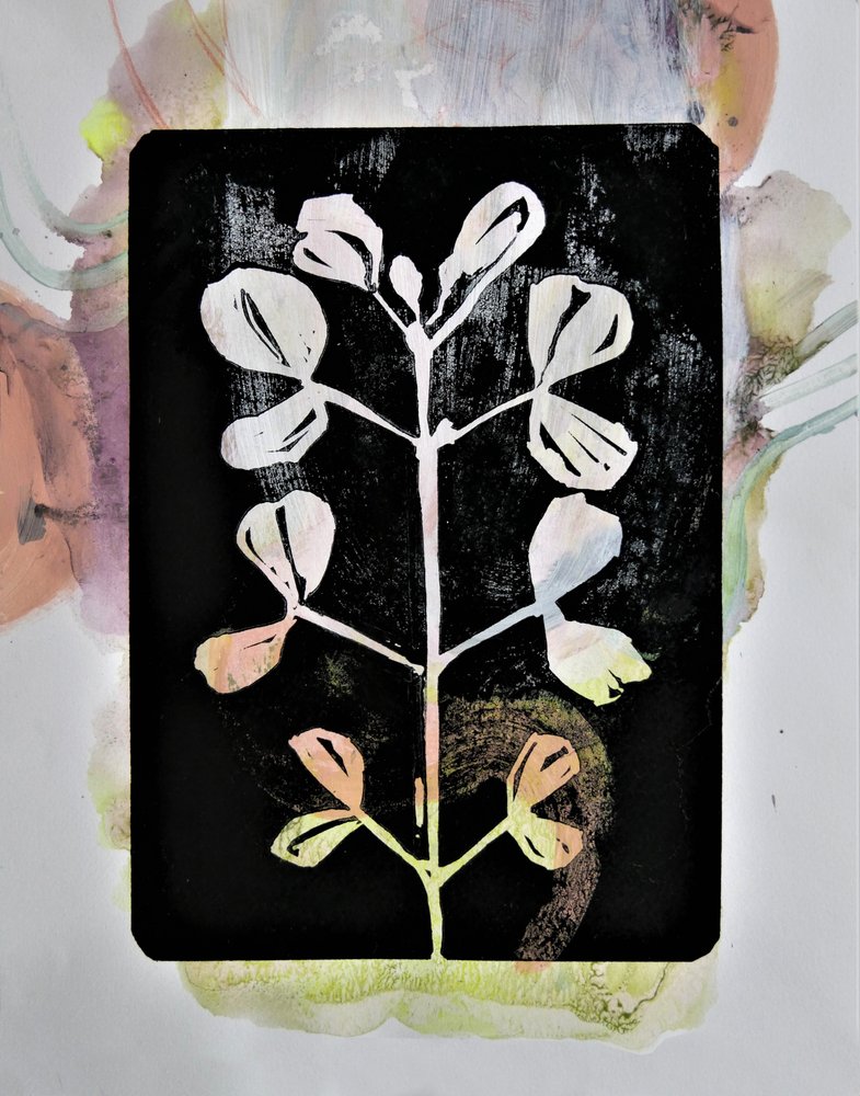 Pastel Botanical Study by Doris Schmitz