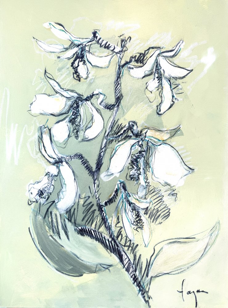 White Floral Sketch by Dorothy Fagan
