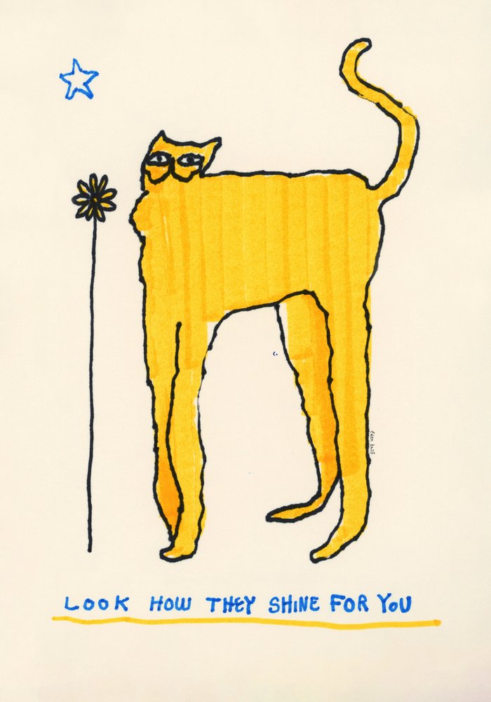 Look How They Shine for You by EDEN KALIF