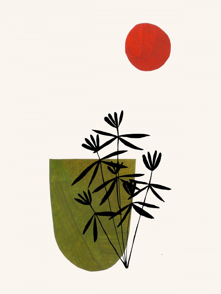 Green Plant Red Sun by Ejaaz Haniff