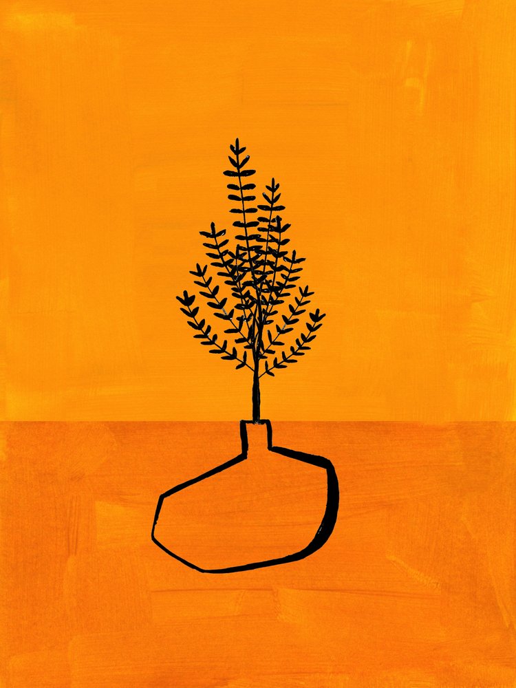 Orange Minimalist Plant by Ejaaz Haniff