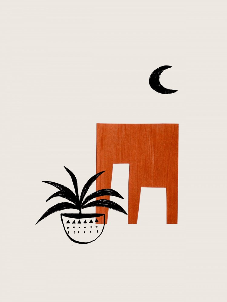 Terracotta Night Plant by Ejaaz Haniff