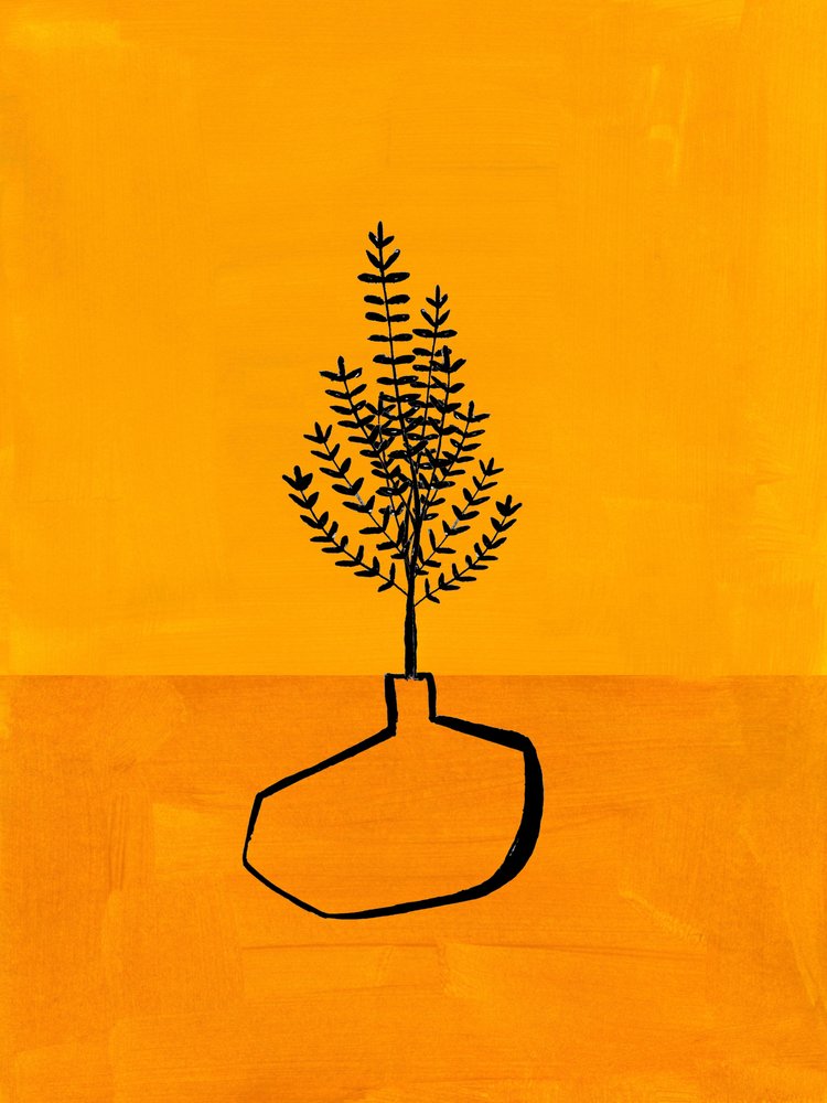 Warm Minimalist Plant by Ejaaz Haniff