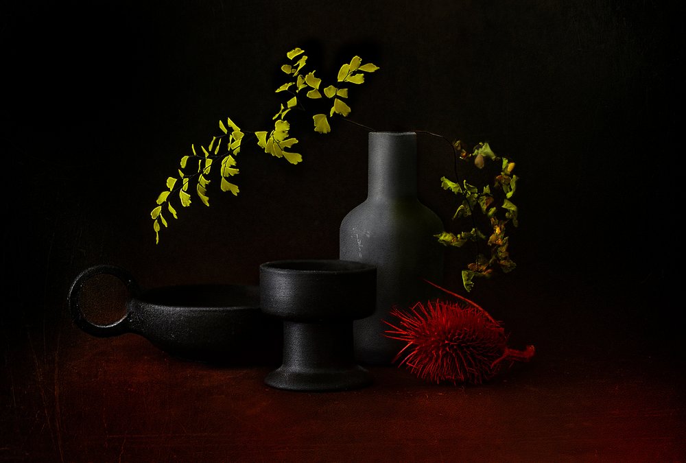 Dark Botanical Still Life by Elena Arjona