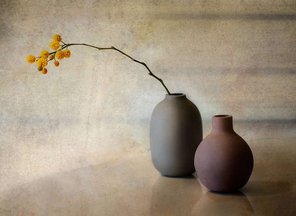 Minimalist Floral Vases by Elena Arjona