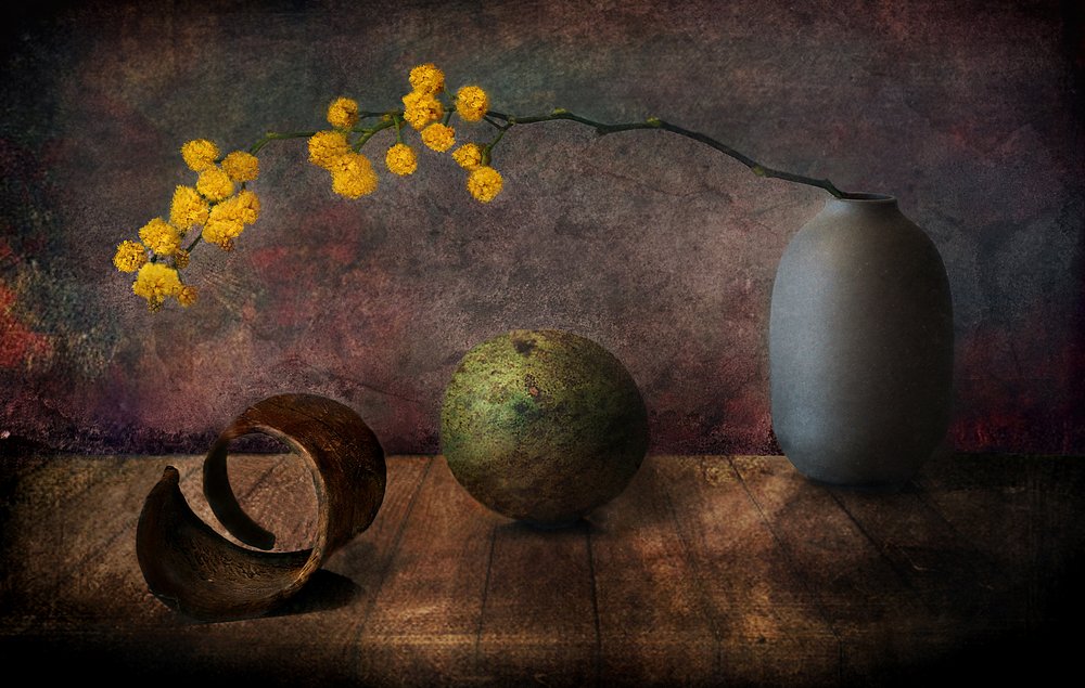 Moody Mimosa Still Life by Elena Arjona