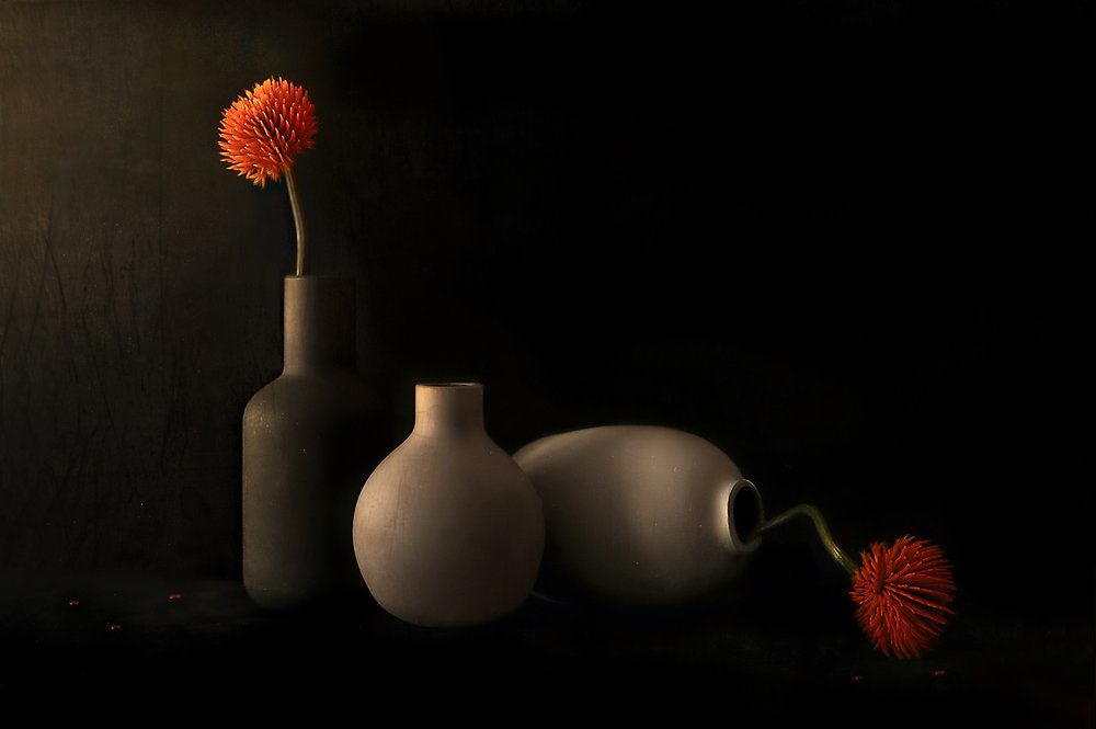 Orange Bloom Still Life by Elena Arjona