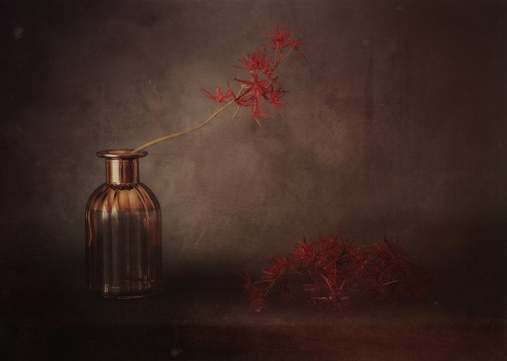 Red Bloom Still Life by Elena Arjona