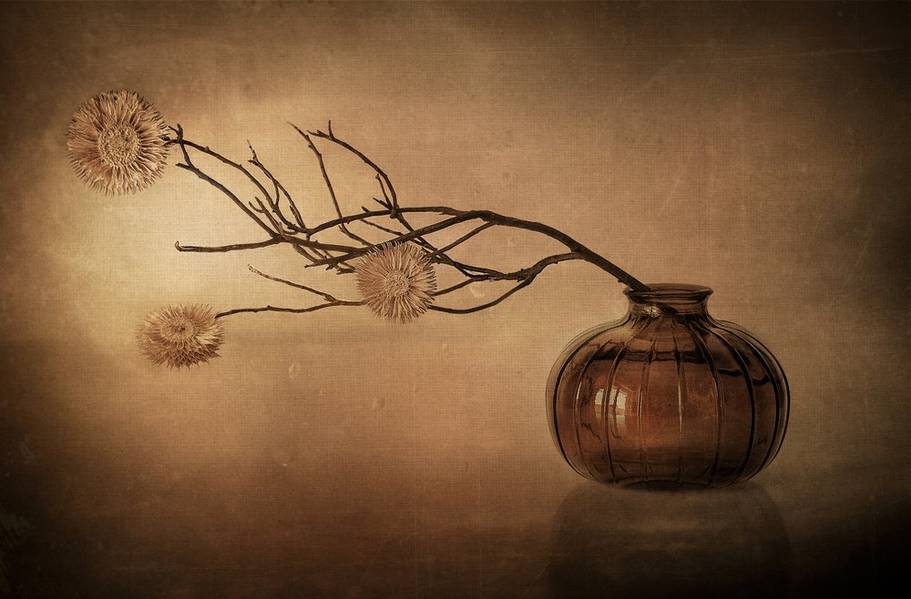 Rustic Vase Still Life by Elena Arjona