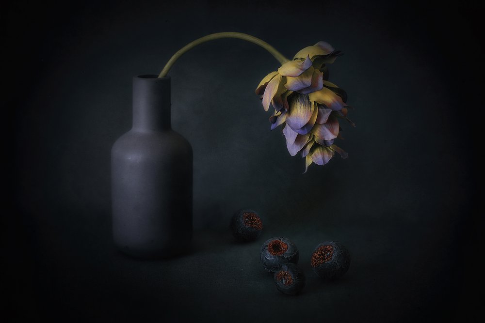Shadowed Bloom and Berries by Elena Arjona