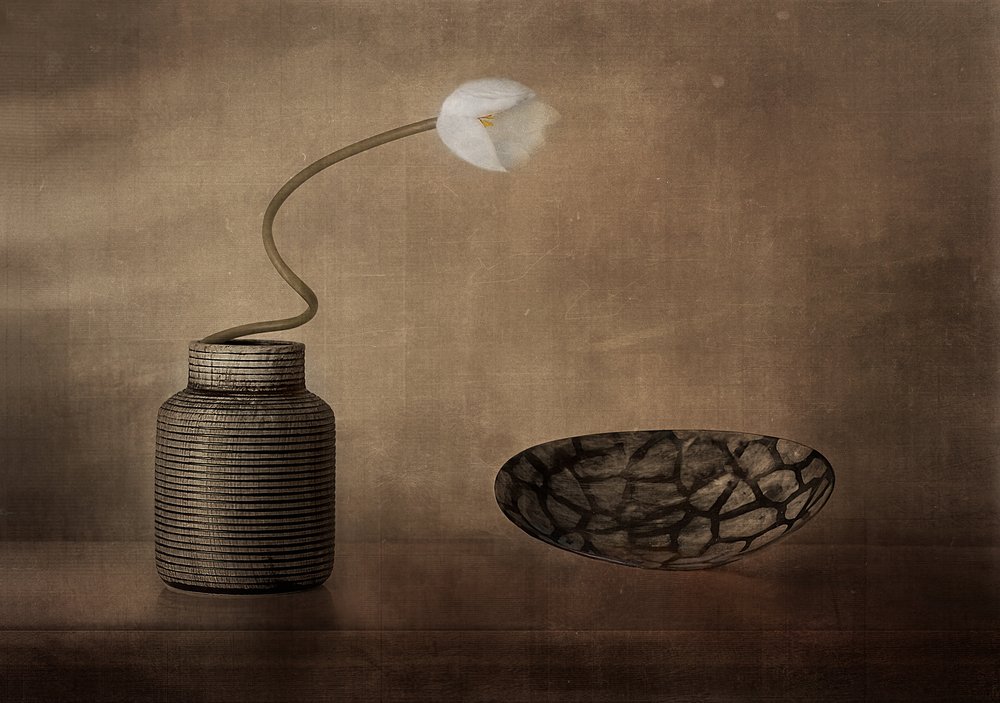 White Bloom Still Life by Elena Arjona