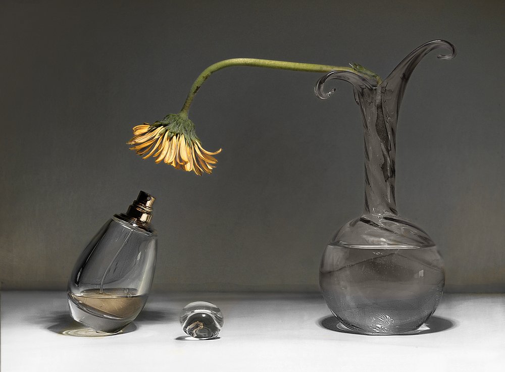Wilted Flower Still Life by Elena Arjona