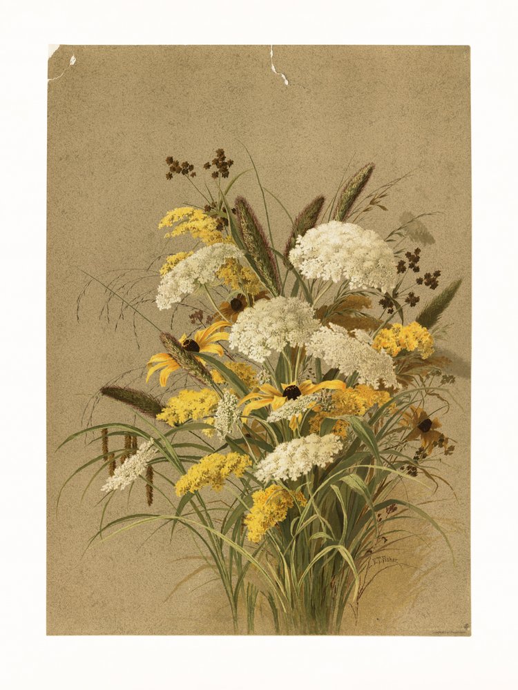 Hemlock, Ox Eye Grasses and Golden Rod by Ellen Thayer Fisher