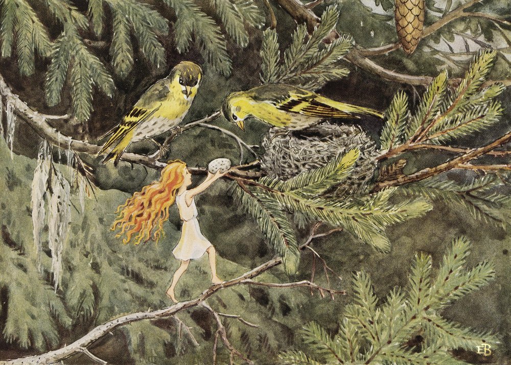 The Sun Egg (1932) - The Birds by Elsa Beskow