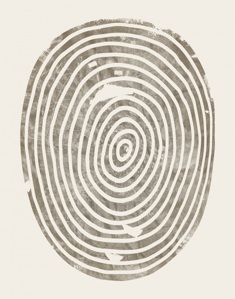 Abstract Tree Rings by Ema Paraschiv
