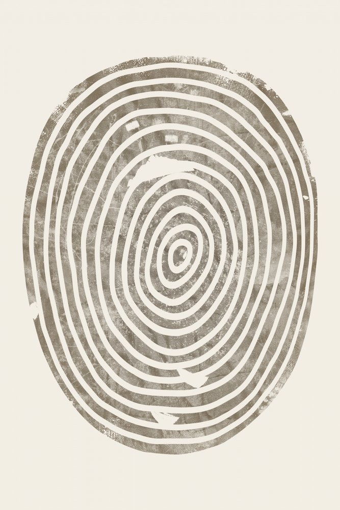 Concentric Wood Rings by Ema Paraschiv