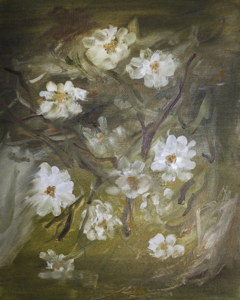 Soft White Blossoms by Emily Tingey