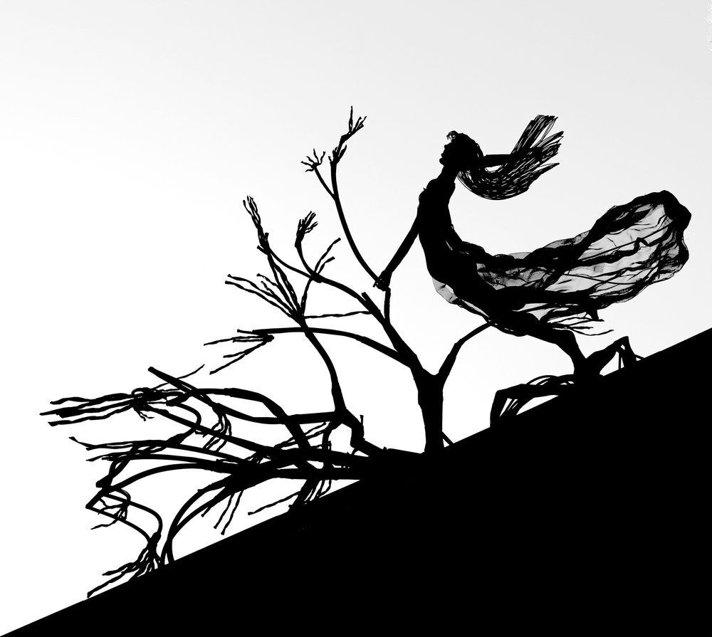 Wind Swept Climb by Eosination