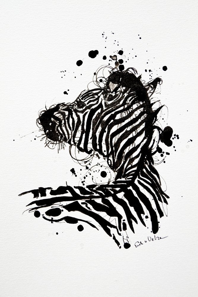 Wild Zebra Ink Splash by Erik Van Velzen
